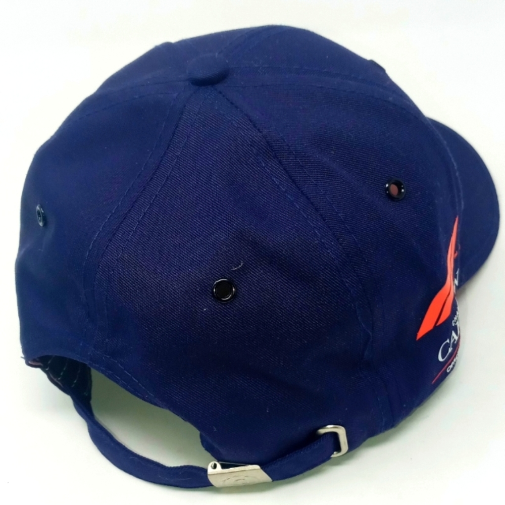 Carbon Adjustable Cap - image 4